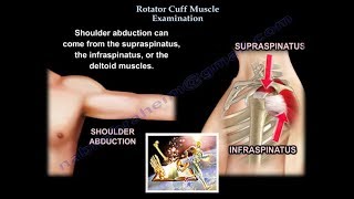 Rotator Cuff Muscle Examination  Everything You Need To Know  Dr Nabil Ebraheim [upl. by Ramey580]