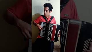 El gateao🪗🎶🇦🇷 musica argentina acordeon chamame corrientes sanfoneiro [upl. by Rivers]