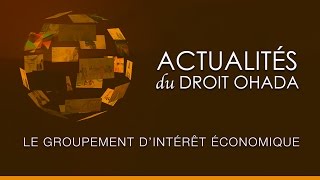 Le groupement dintérêt économique [upl. by Seaden40]