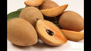 Sapota Chiku for Diabetes  Weight Loss  Heart NutritionWay ReversingDiabetesProgram Diabetes [upl. by Ysnil882]