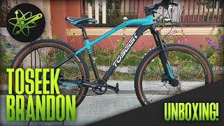 SKINWALLS ON A BUDGET BIKE  Toseek Brandon Unboxing and Review [upl. by Azrim]