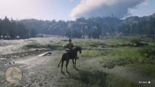 Red Dead Redemption 2  RDR2  CEDAR WAXWING  LOCATION  ZOOLOGIST 20 [upl. by Westland50]