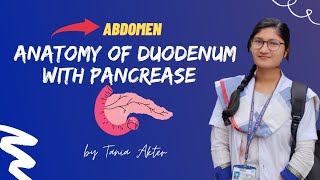 Anatomy of Duodenum with Pancreas  Bangla Demonstration of Duodenum with Pancreas [upl. by Okuy]