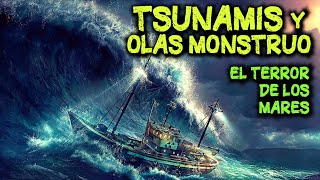 🌊 Los TSUNAMI más GRANDES de la Historia 🌊 TOP 10 Videos de Tsunamis y Olas Monstruo de la Historia [upl. by Neom]