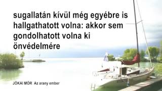 241 A VÉDÖRDÖG Jókai Mór Az arany ember Hungarian language audiobook [upl. by Millur]