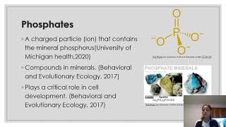 Nitrates and phosphates in eutrophication [upl. by Aleehs69]