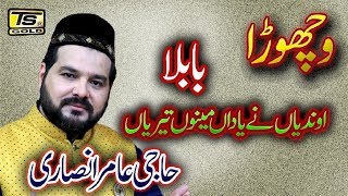 Babula Mainu yaadan teriyan aundiya ne by haji amir ansari TS GOLD 2018 [upl. by Aile]