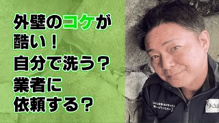 外壁のコケでお悩みの方必見！正しい対処法はこれだ！ [upl. by Hgielek]