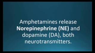 Norepinephrine NE Pharmcabulary for Memorizing Pharmacology Chapter 5 Neuro Flashcard [upl. by Ellard459]