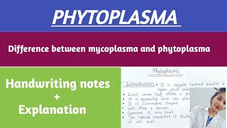 Phytoplasma characters symptoms lifecycle amp control ✅  Phytoplasma notes [upl. by Latvina]