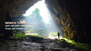 Which tours you can join with Oxalis from Octobor to MidNovember [upl. by Downs264]