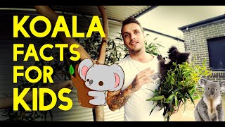 Koala Facts For Kids  Aussie Animal Facts  Cute Koala [upl. by Uhile258]