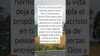 entregarle todo jesus jesuschrist fe gospel testimony evangeliobiblia bibleanimofunnylive [upl. by Ardnnaed]