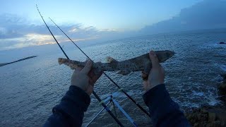 FISHING KNAP POINT SOUTH WALES [upl. by Huda]