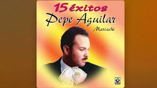 Pepe Aguilar  Miedo [upl. by Robers937]