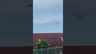 Van Wagner Aerial Media plane dropping a banner at Woodbine Airport [upl. by Ireva951]