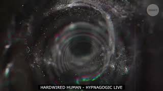 HYPNAGOGIC LIVE [upl. by Kurtzman199]