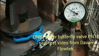 DN80 Wafer butterfly valve seal test video from DAVAN FLOWTEK [upl. by Naesal]