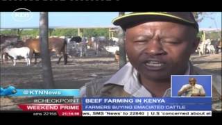 The different way enterprising Kenyans are venturing into beef farming [upl. by Roderich]