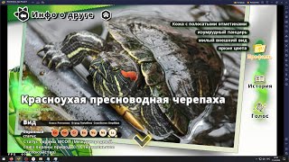 Kemono Friends Kingdom 13 11022024 Сокровища за горизонтом глава 22 [upl. by Attaymik176]