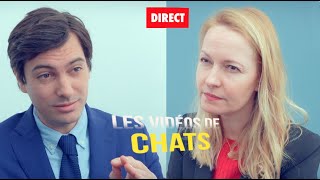 Les Vidéos de Chats 1 Interview Présidentielle [upl. by Keram]