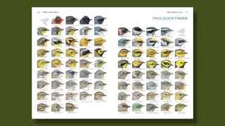 The Warbler Guide  How to Use the Quick Finders [upl. by Mayne]