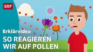 Heuschnupfen  Pollenallergie – einfach erklärt  Kindervideos  SRF Kids [upl. by Llednohs]