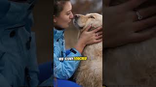 The Tale of Hachiko The Loyal Akita Who Waited 9 Years for His Owner Will Bring Tears to Your Eyes [upl. by Urson]