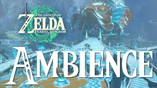 Sludge Zoras Domain  Tears of the Kingdom  1 Hour Relaxing Zelda Ambience Sounds ASMR [upl. by Oad]