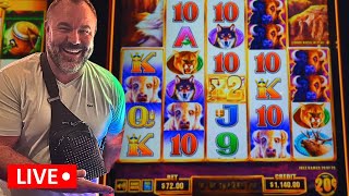 LIVE 12 HAND PAY Jackpots amp A HUGE 72 BET BUFFALO WIN gaming [upl. by Grew429]