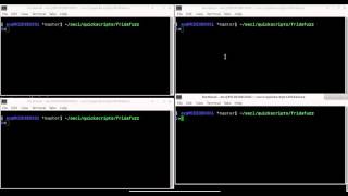 Frida Inject Network Struct into Running Process [upl. by Brodench659]