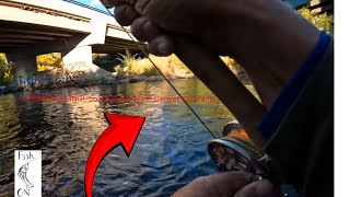 Ep 36 Downtown Denver South Platte River Trout on the Fly trout flyfishing fishingvideos [upl. by Nassi]