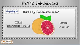 P2Y12 Receptor inhibitors [upl. by Llyrrad918]