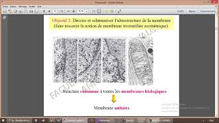 Introduction à la membrane plasmique [upl. by Conover460]