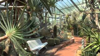 Neuer Botanischer Garten Marburg [upl. by Anayik]