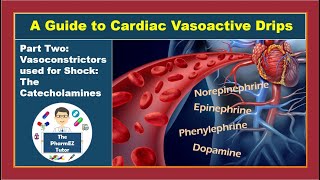 Guide to Cardiac Vasoactive Drips Part 2 Vasoconstrictors used for shock The Catecholamines [upl. by Lodhia]