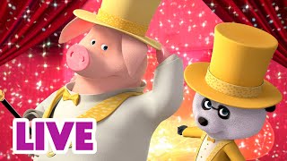 🔴 LIVE STREAM 🎬 Masha and the Bear 🪩 Showtime begins ✨🎙️ [upl. by Tema378]