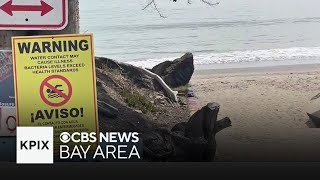 Bolinas Beach partly closed after human waste found seeping from coastal bluff [upl. by Ztirf]