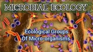 Microbial ecology Ecological MicrobiologyAlam Sir [upl. by Leile231]