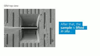 ZEISS Crossbeam  How to prepare a TEM sample [upl. by Brooks536]