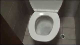 Free 1minute fix Dualflush toilet always running leaking ghost flush [upl. by Goldarina]