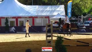 Ludger Beerbaum Lausanne 2012 Training Paddock 3ª Day Global Champions Tour 2012 [upl. by Nojel]