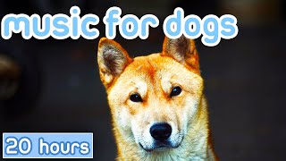 NO ADS Music for Dogs Gentle Songs to Promote Sleep Cure Depression [upl. by Schmidt]