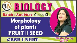 MORPHOLOGY OF FLOWERING PLANTS FRUIT  SEED  CLASS XI BIOLOGY NEET 2025 ANUBHAV [upl. by Roux]