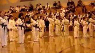 World Tang Soo Do Anthem Performance [upl. by Nylimaj778]