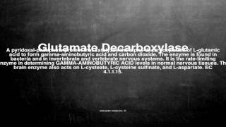 Medical vocabulary What does Glutamate Decarboxylase mean [upl. by Reinar826]