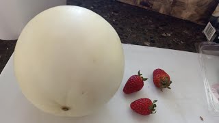 Irene Bee View Vlogger is live Lets Peel Rock Melon amp strawberrypeel rockmelon yummy [upl. by Milka]