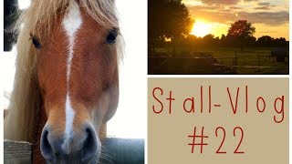 Normaler Stallalltag neues Futter amp MAL gar nicht BIO  StallVlog 22 [upl. by Ellehcar198]