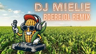 Boerejol  Die Ventertjies Kosie Beukes amp Kannie Warries Dansorkes DJ MIELIE REMIX [upl. by Latton87]