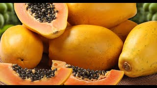 How to Ripen Papaya Naturally at Home  Easy Way to Ripe RAW fruits Faster [upl. by Euqcaj]